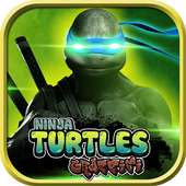 Turtles Ninja Graffiti Fight