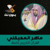 Жареная корковая пробка из Корана on 9Apps