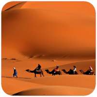 Desert HD Wallpaper on 9Apps