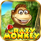 Crazy Monkey icon