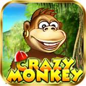 Crazy Monkey