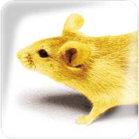 Application de réception