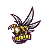 Rapid VPN Pro