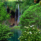 Swan Lake Live Wallpaper icon