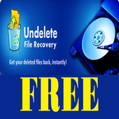 Recover Your Deleted Files icon
