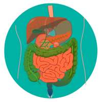 Nursing Anatomy & Physiology on 9Apps