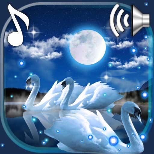 Лебединая Ночь Живые Обои иконка