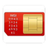 Your Sim Information icon