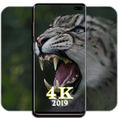 Galaxy Note 10 Wallpaper icon