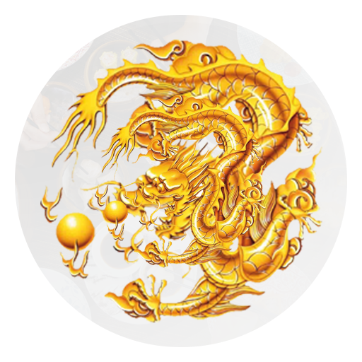 Dragon-Ball Telford icon