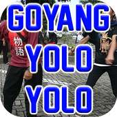 Goyang Yolo Yolo on 9Apps