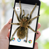 Spider on Screen Prank icon