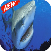 Sharks icon
