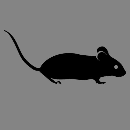Rodent Calls &amp; Rodent Sounds for Rodent Hunting icon