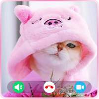 Cat Fake Video Call : Fake Call Video Cat Game