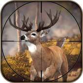 Animals Attack Deer Hunting 3D Game