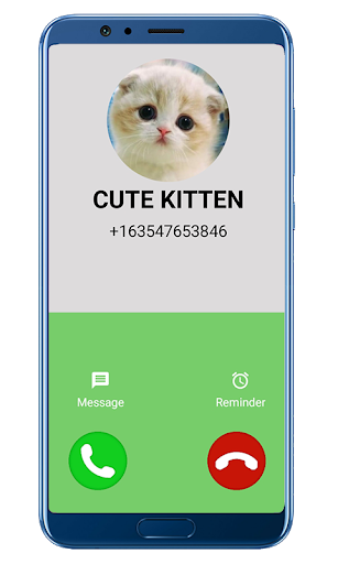 Fake Call Video Cat - simulator screenshot 1