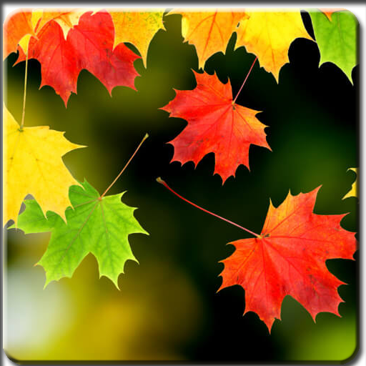 Autumn Wallpapers icon