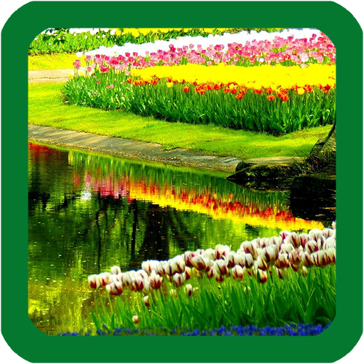 Spring Flower Live Wallpaper icon