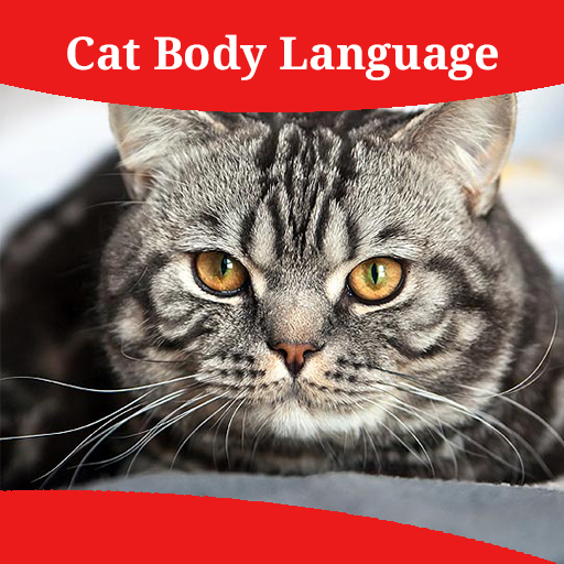 Cat Body Language icon