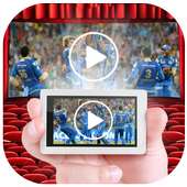 Live Cricket Video Simulator