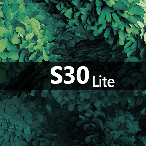 S30 Lite Theme Kit icon