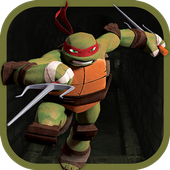 Turtle Jumper Ninja icon