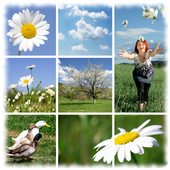 Pic Stitch Collage icon