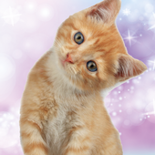 Animal stickers for photos icon