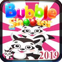 Bubble Shooter Pet Raccoon