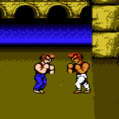 Double Dragon Arcade - Emulator icon