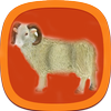 آموزش جامع پرورش گوسفند icon