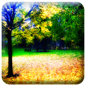 Ultra HD Video Live Wallpaper icon