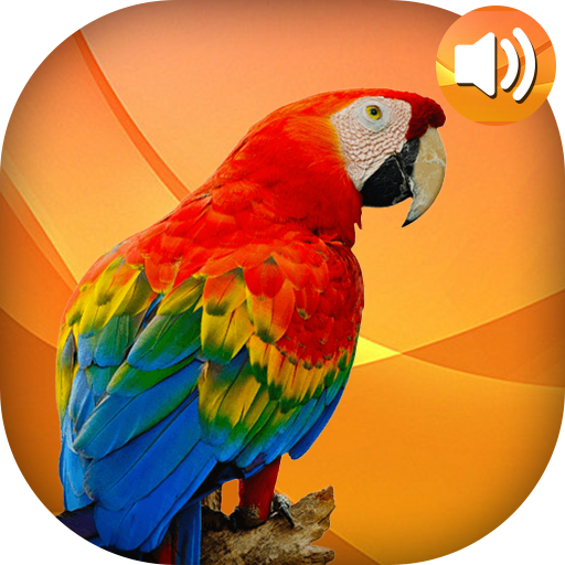 Animal Ringtones иконка