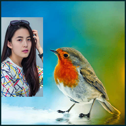 Birds Photo Frames HD icon