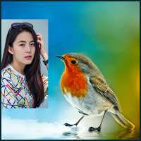 Birds Photo Frames HD on 9Apps