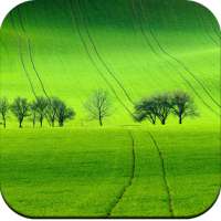 Field Wallpaper on 9Apps