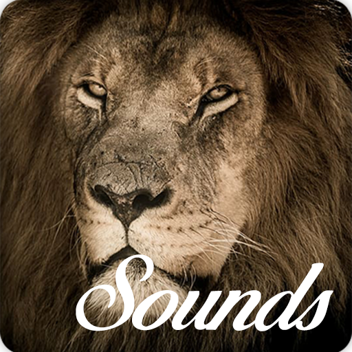 Lion Sounds and Ringtone Audio icon