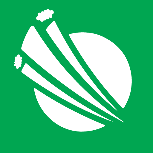 Live Cricket Score Updates icon