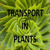 Transport In Plants Notes icon