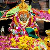 बाबा रामदेव पीर रामदेवरा आइकन