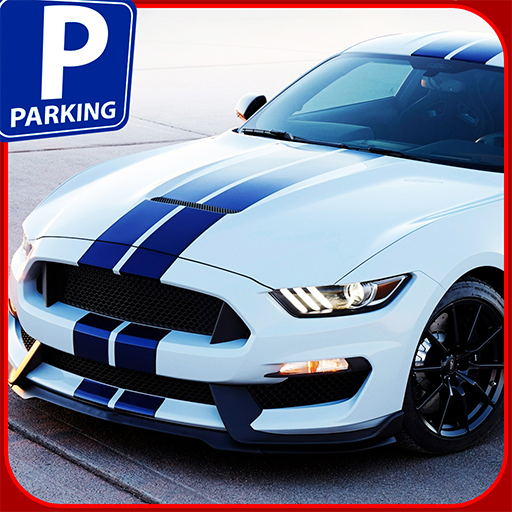 Backyard Parking Mania 3D icon
