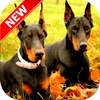 Doberman Wallpapers on 9Apps