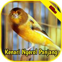 Kicau Kenari Gacor Ngerol Panjang