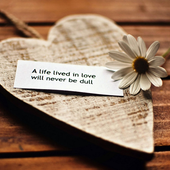 Life Quote Wallpapers icon