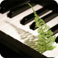 Relaxing Piano Music on 9Apps