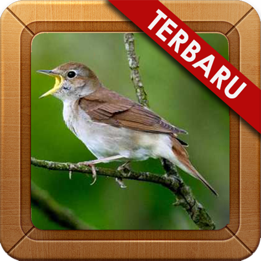 Sikatan Londo Mania Masteran icon