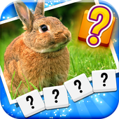 One Pic Three Words icon