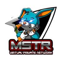 MSTR VPN (UDP)