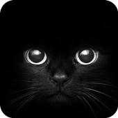 Black Cat eyes Theme CLauncher icon